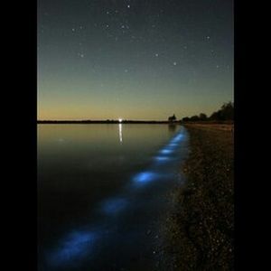 Meet your Posher, Carol